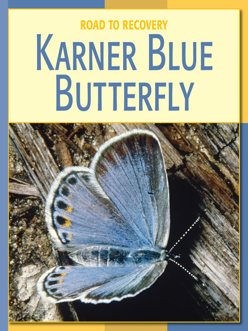 Title details for Karner Blue Butterfly by Susan H. Gray - Available